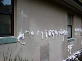 DSCN5410.jpg