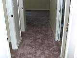 DSCN6378.jpg