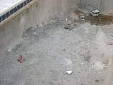DSCN7898.jpg
