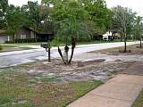 DSCN7087.jpg