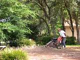 DSCN7242.jpg
